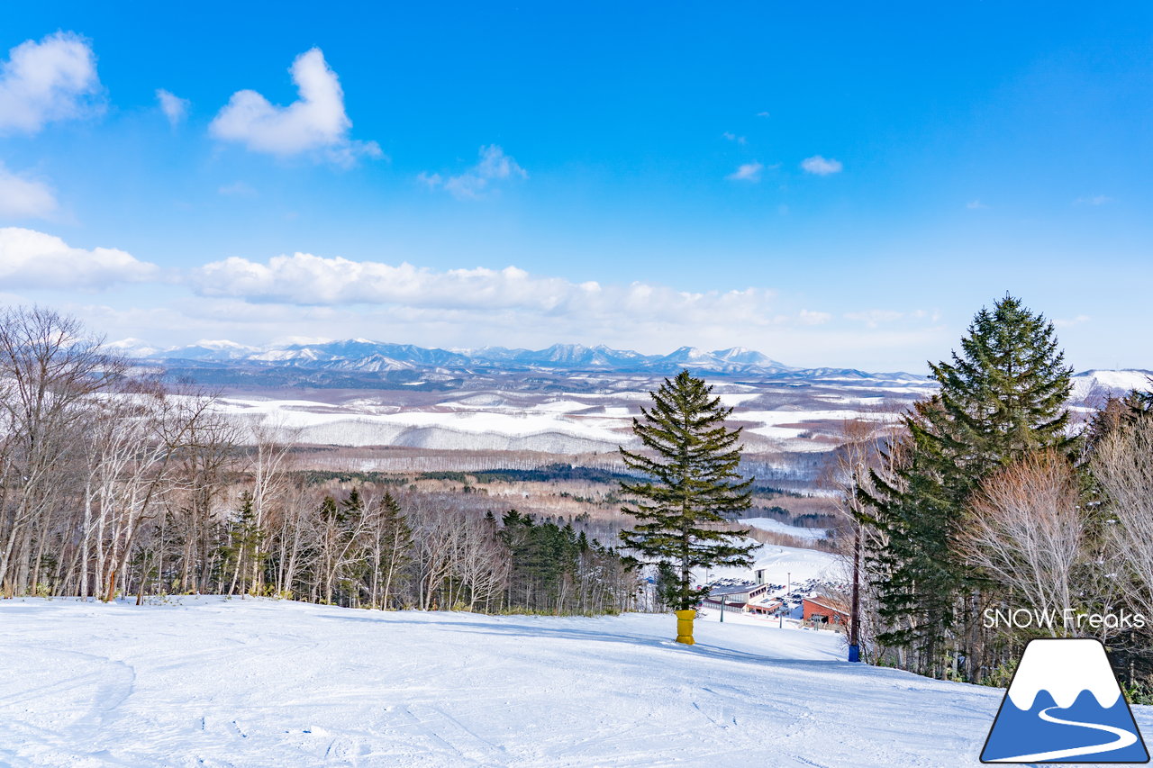 十勝サホロリゾート｜道東の粉雪はレベルが違う☆抵抗感皆無のさらさらパウダースノーへ滑り込め！(*^^*)